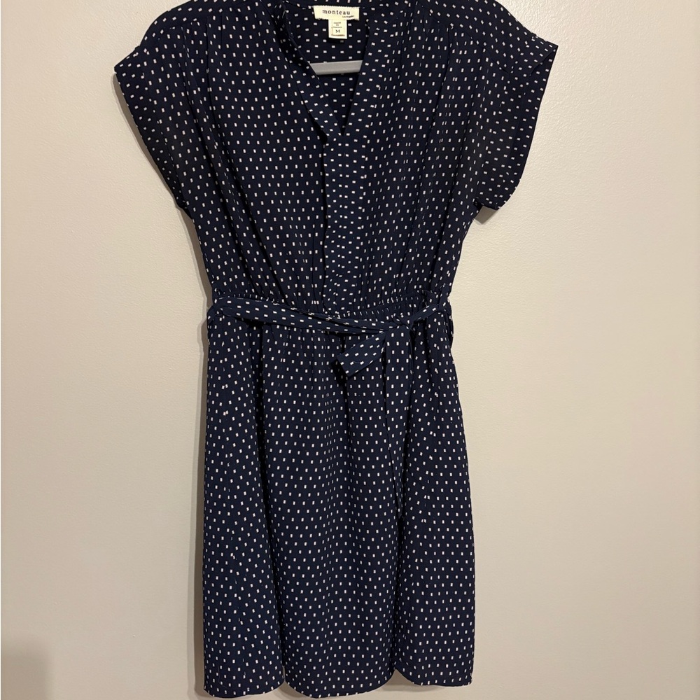Monteau Navy & White Dress